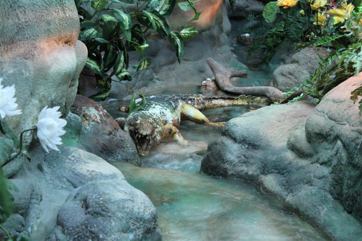 World of Living - Jungel1