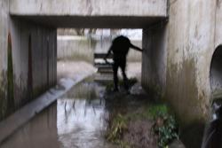 Winni findet den Ausgang